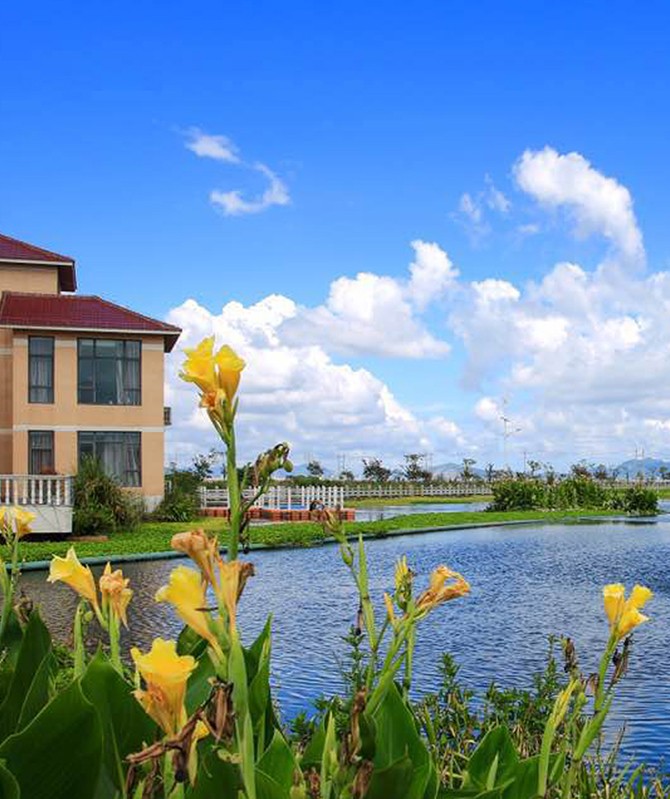 k8凯发(中国)天生赢家·一触即发