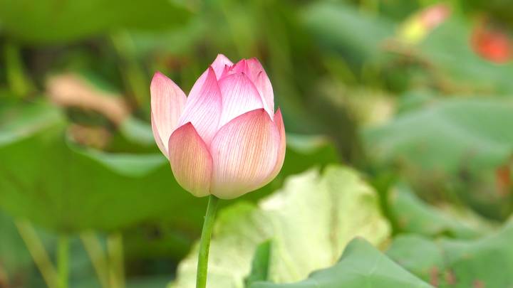 k8凯发(中国)天生赢家·一触即发